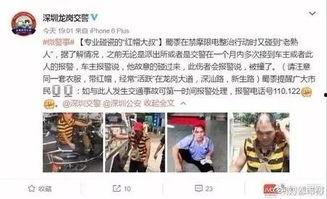 深圳龙哥最新爆料消息,揭秘行业内幕，带你直击真相现场